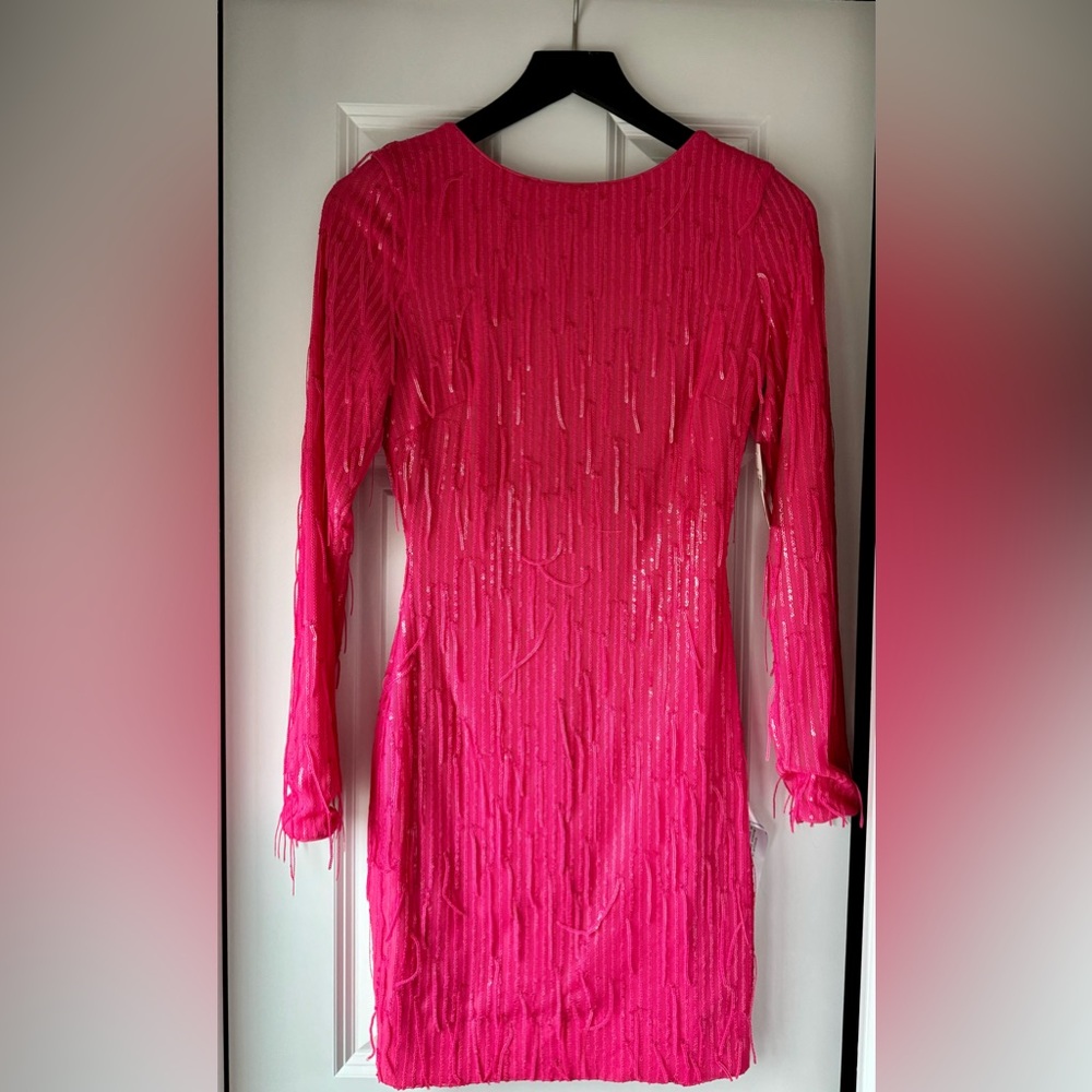 Dress The Population Sequin Dress